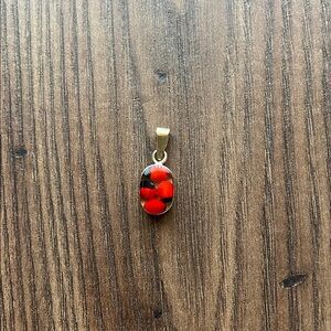 Peruvian Huayruro Seed Necklace Charm
